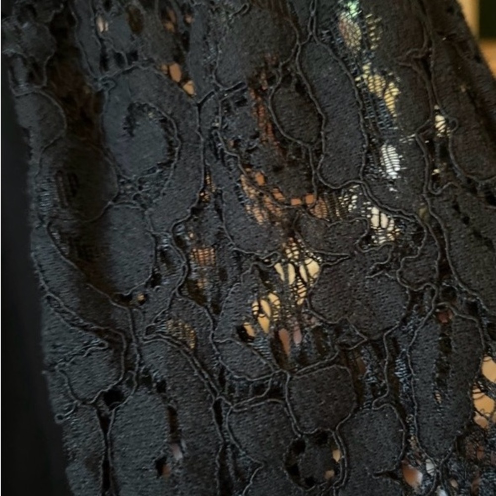 Zara Elegant Black Lace Sleeve Dress - Picture 3 of 8